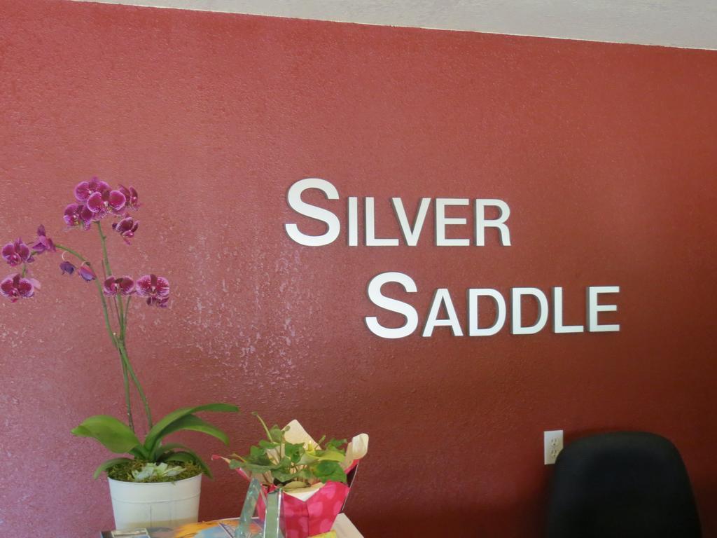 Silver Saddle Motel Manitou Springs Zewnętrze zdjęcie
